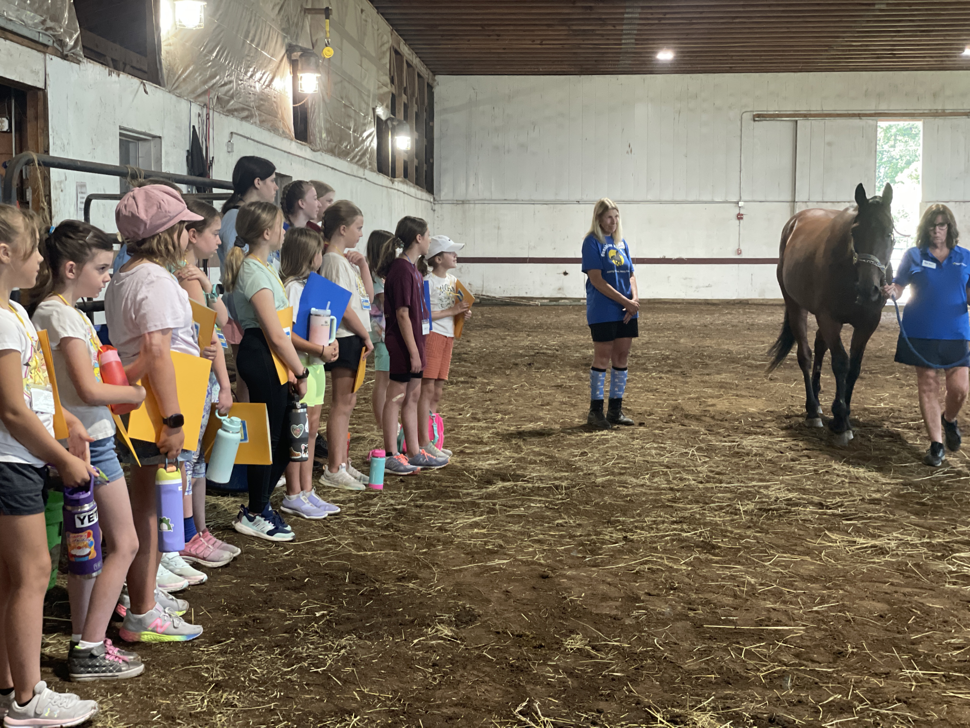 Meeting a Horse
