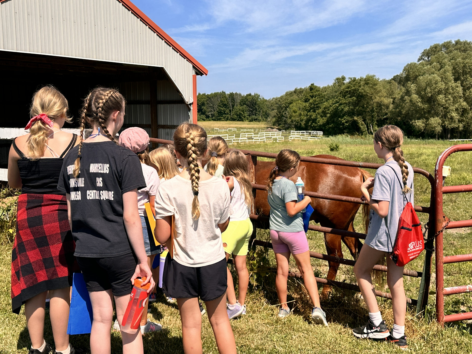 Meeting a Horse