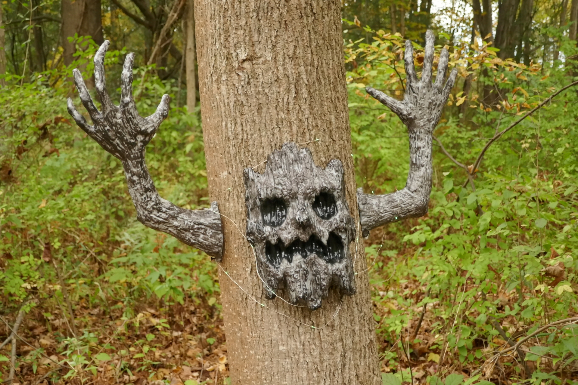 Haunted tree
